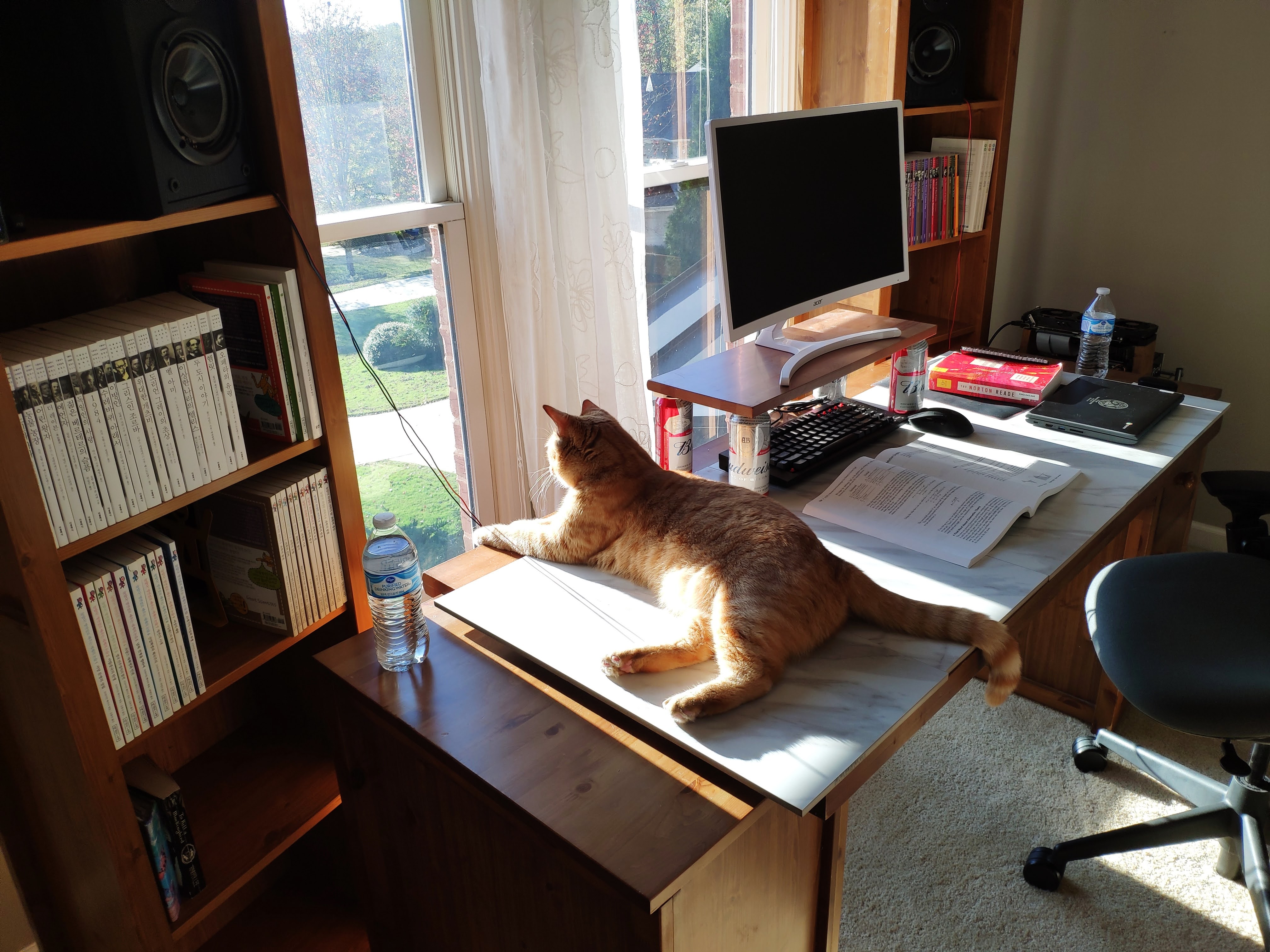Sunlit interior room with bright highlights and shadows.